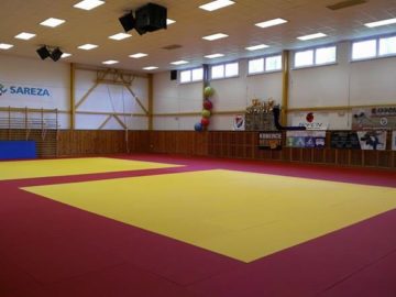 SAREZA  má nové tatami !!!