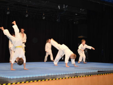 Judo Show